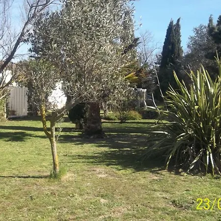Gite De France * Saint-Cyprien (Pyrenees-Orientales)